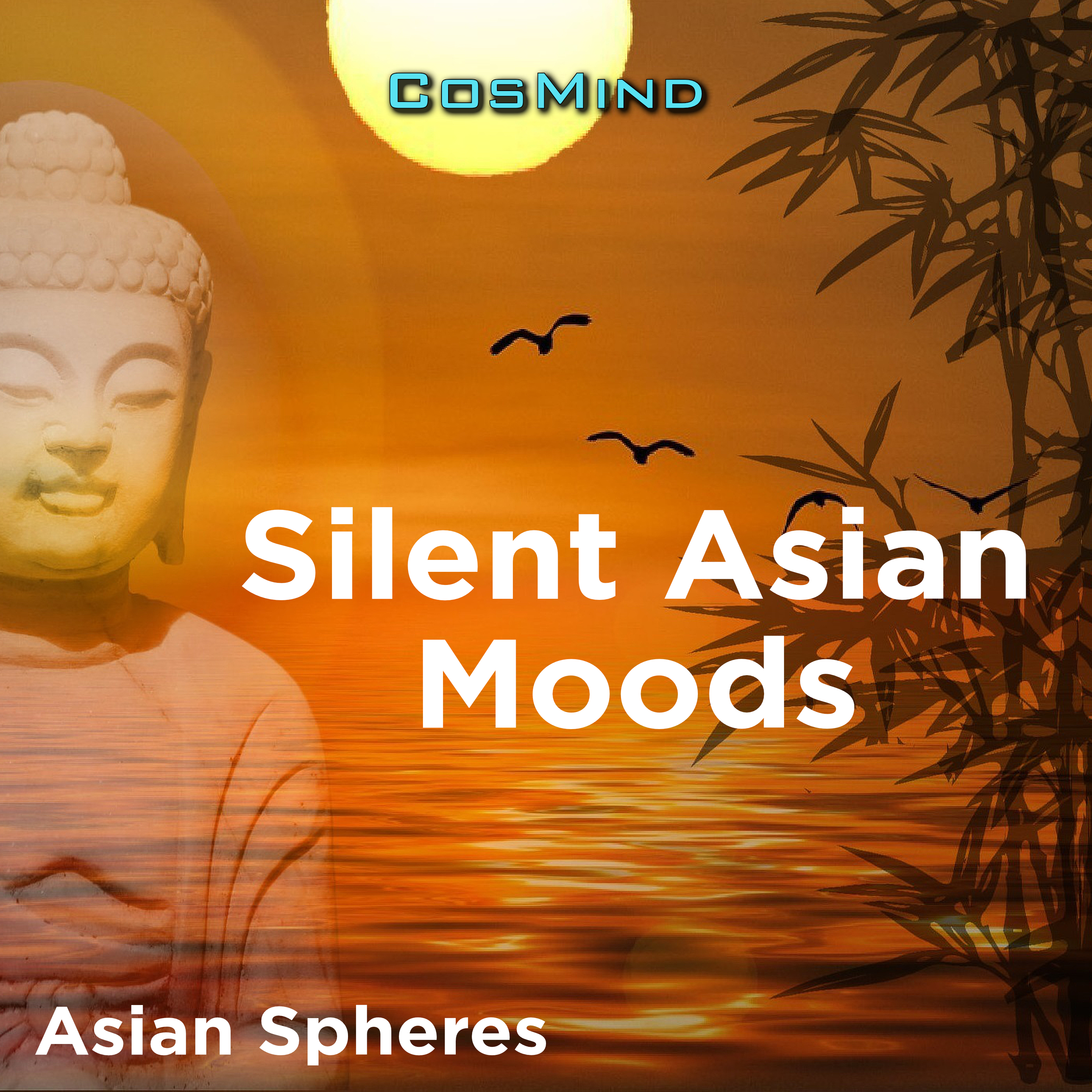 asian spheres (silent asian moods) 표지