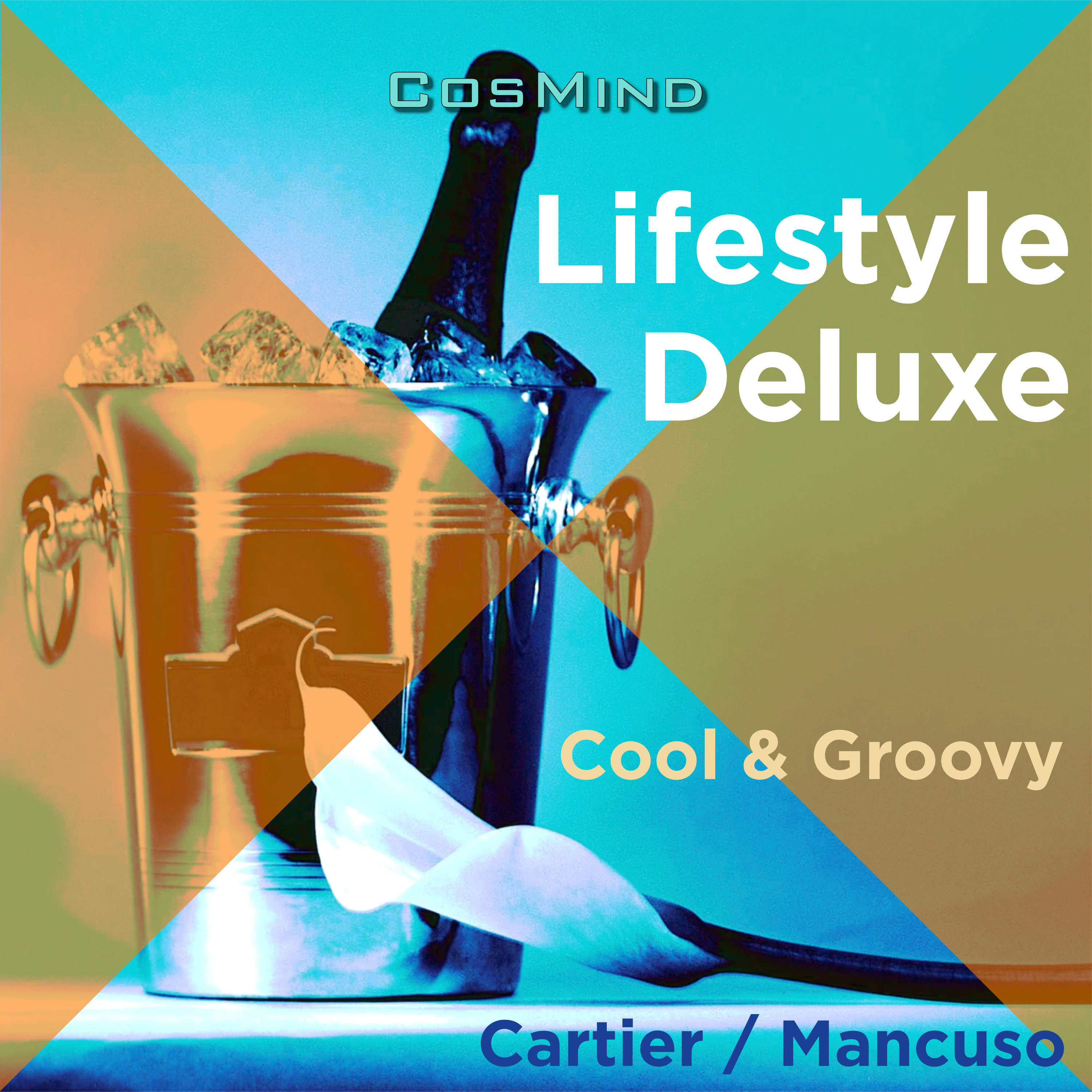 lifestyle deluxe 표지
