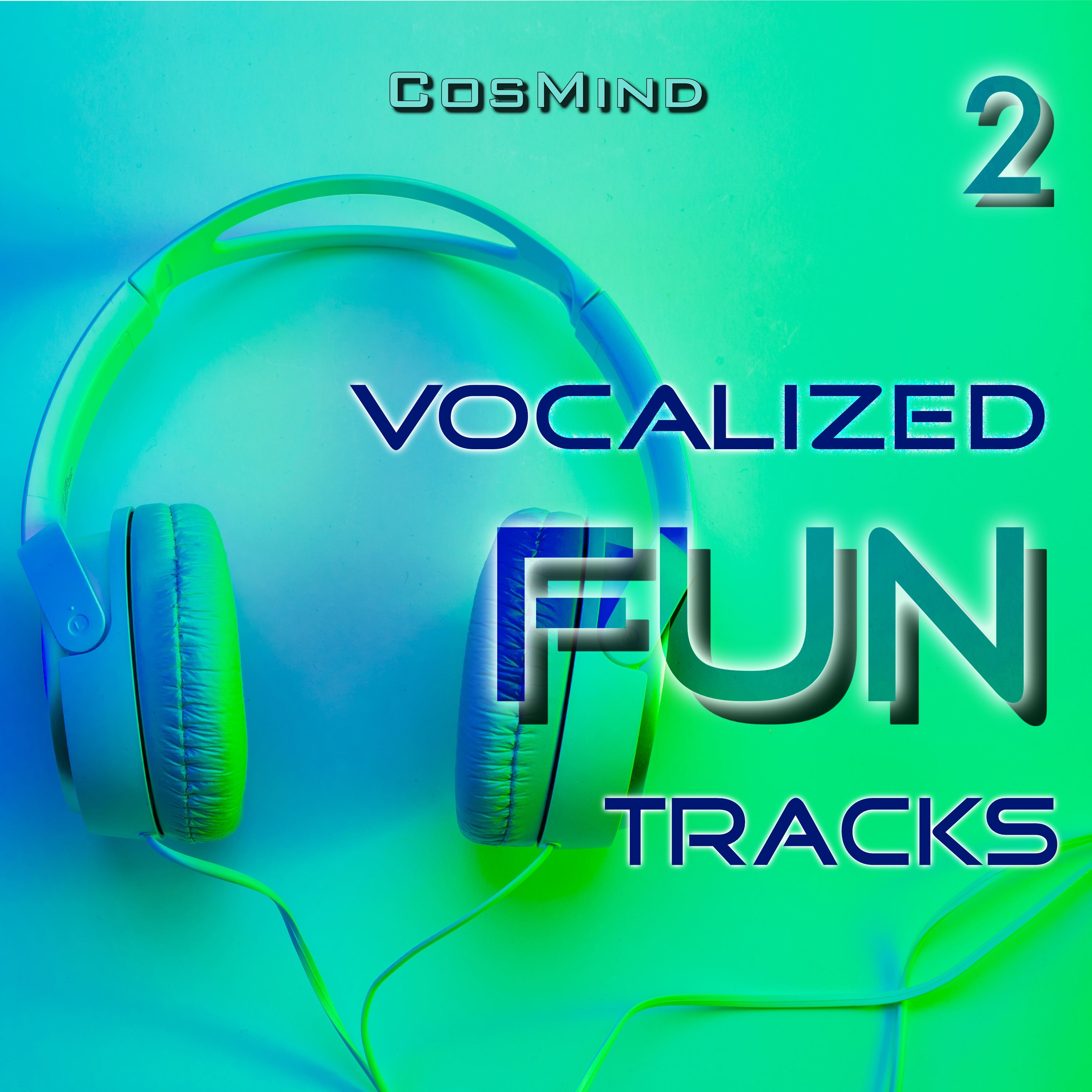 vocalized fun tracks 2 표지