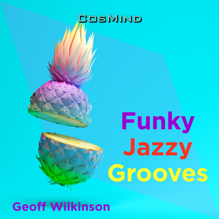 funky jazzy grooves 표지