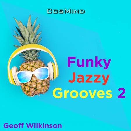 Funky Jazzy Grooves 2 표지