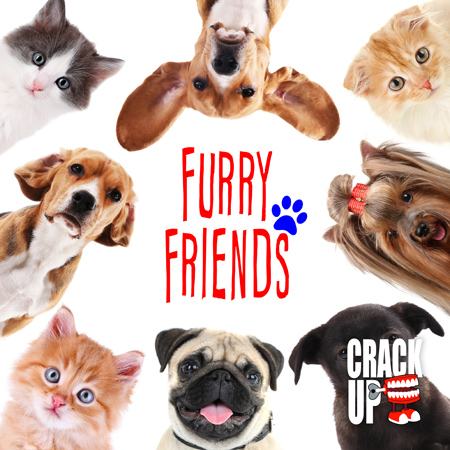 Furry Friends 표지