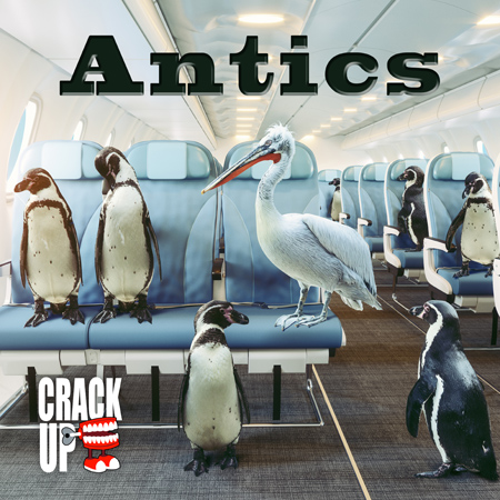 antics 표지