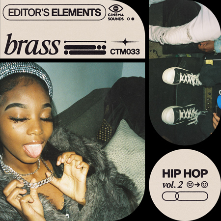 Epic Hip Hop Sound Design Vol 2 Brass 표지