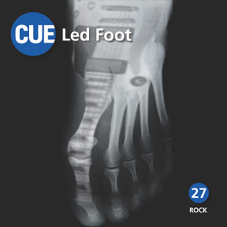 Led Foot 표지