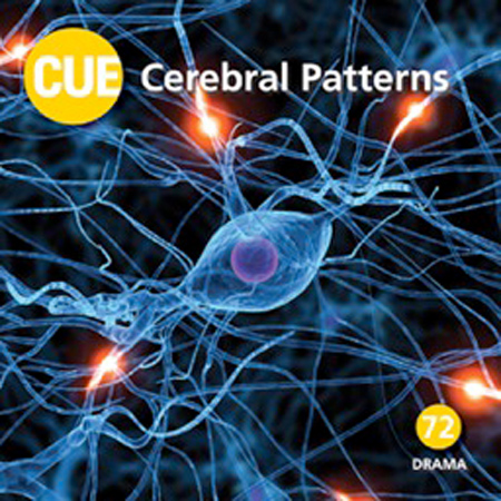 Cerebral Patterns 표지
