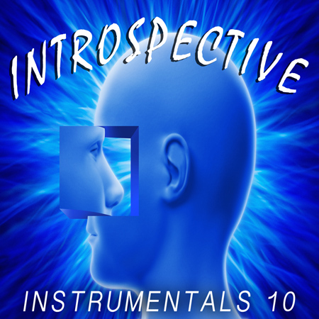 Introspective 10 표지