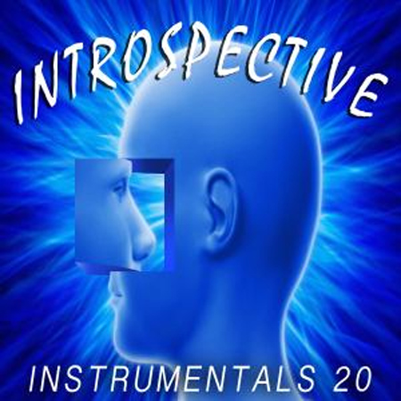 Introspective 20 표지