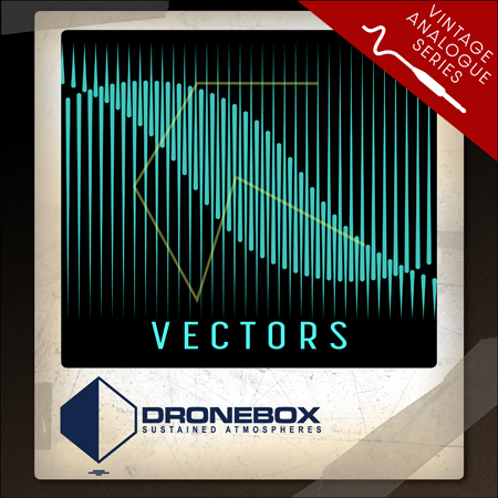 Vectors 표지