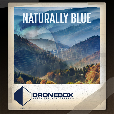 Naturally Blue 표지