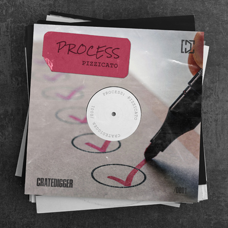 DIG001 PROCESS  (Pizzicato) 표지