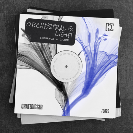 ORCHESTRAL 5 LIGHT (Elegance & Grace) 표지