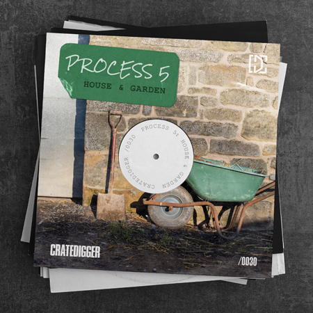 PROCESS 5 (House & Garden) 표지