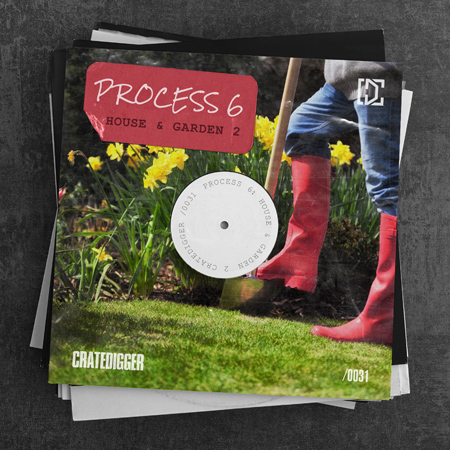 PROCESS 6 (House & Garden 2) 표지