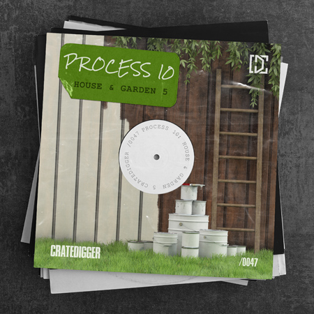 PROCESS 10 (House & Garden 5) 표지