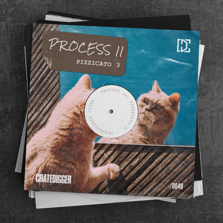 PROCESS 11 (Pizzicato 3) 표지