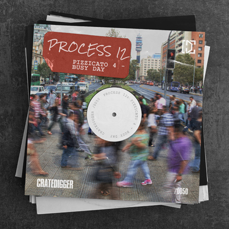 PROCESS 12 (Pizzicato 4) 표지