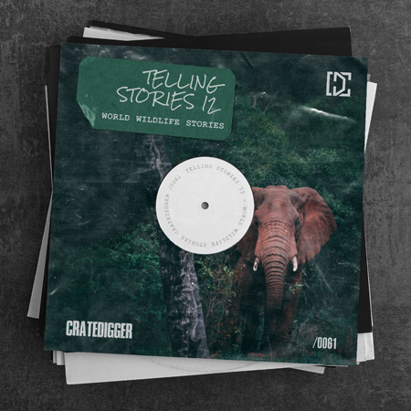 TELLING STORIES 12 (World Wildlife Stories) 표지