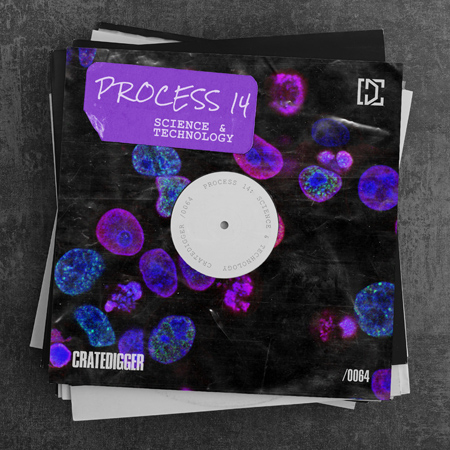 PROCESS 14 (Science & Technology) 표지