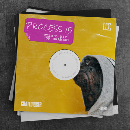 PROCESS 15 (Hybrid Hip Hop Dramedy) 표지