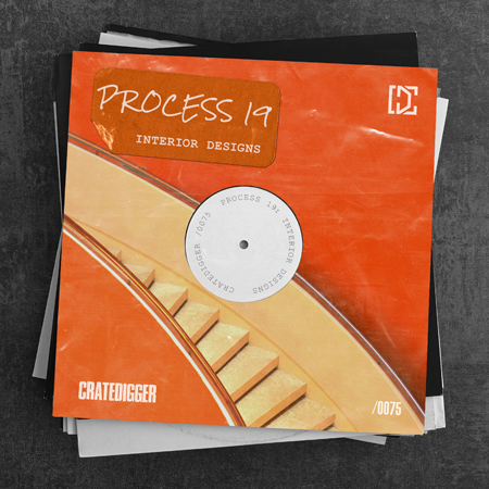 PROCESS 19 (Interior Designs) 표지