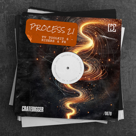 PROCESS 21 (TV TOOLKIT 6 -Risers & FX) 표지