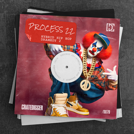 PROCESS 22 (Hybrid Hip Hop Dramedy 2) 표지