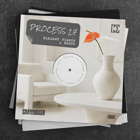 PROCESS 27 (Elegant Pianos & Beats) 표지