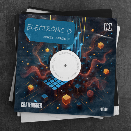 ELECTRONIC 13 (Crazy beats 2) 표지