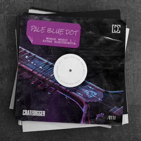 PALE BLUE DOT - World Music 1 (Sitar Electronica) 표지