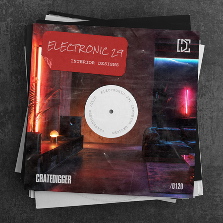 ELECTRONIC 29 (Interior Designs) 표지