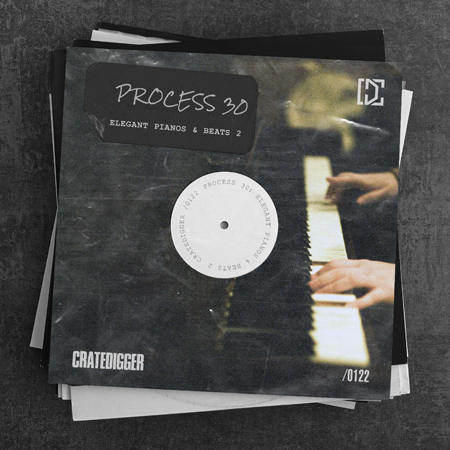 PROCESS 30 (Elegant Pianos & Beats 2) 표지