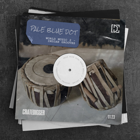 PALE BLUE DOT 2 - World Music (Indian Grooves) 표지
