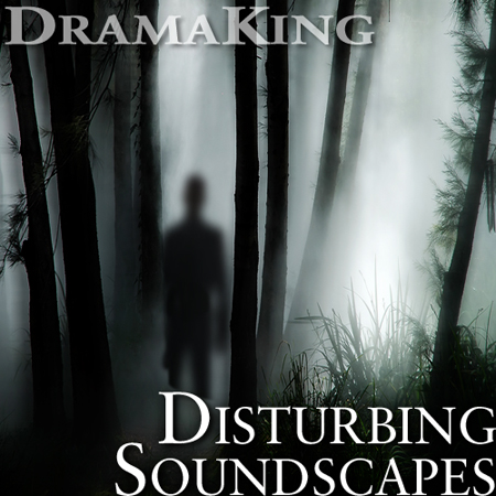 Disturbing Soundscapes 표지
