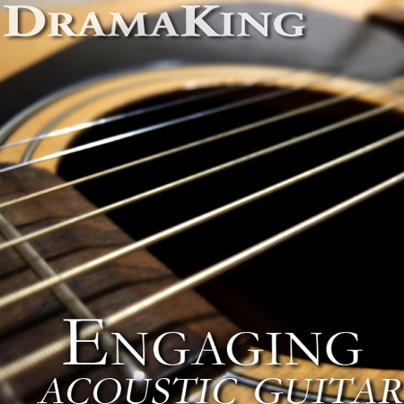 Engaging Acoustic Guitar 표지