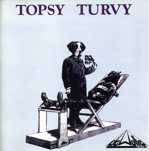 topsy turvy 표지
