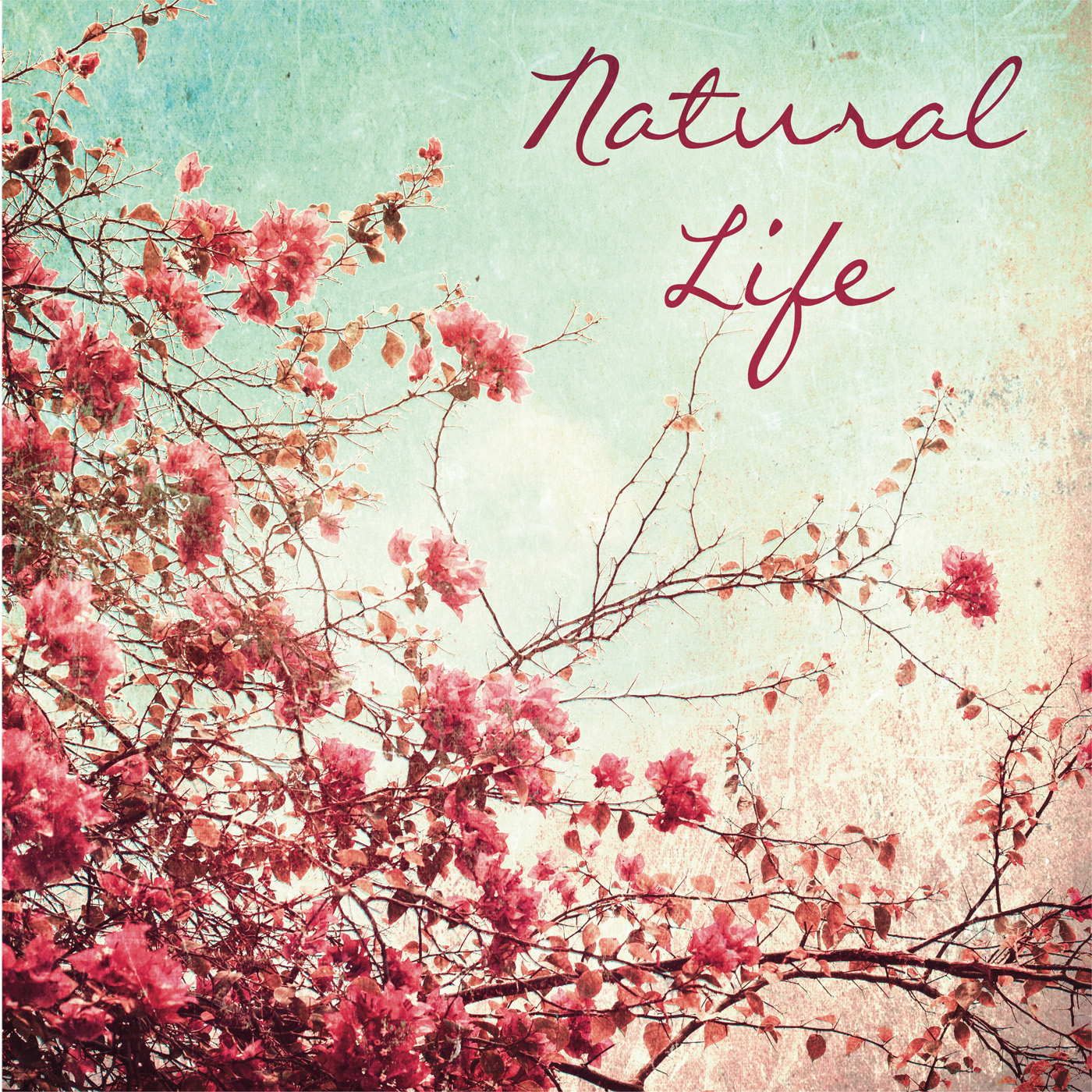 natural life 표지