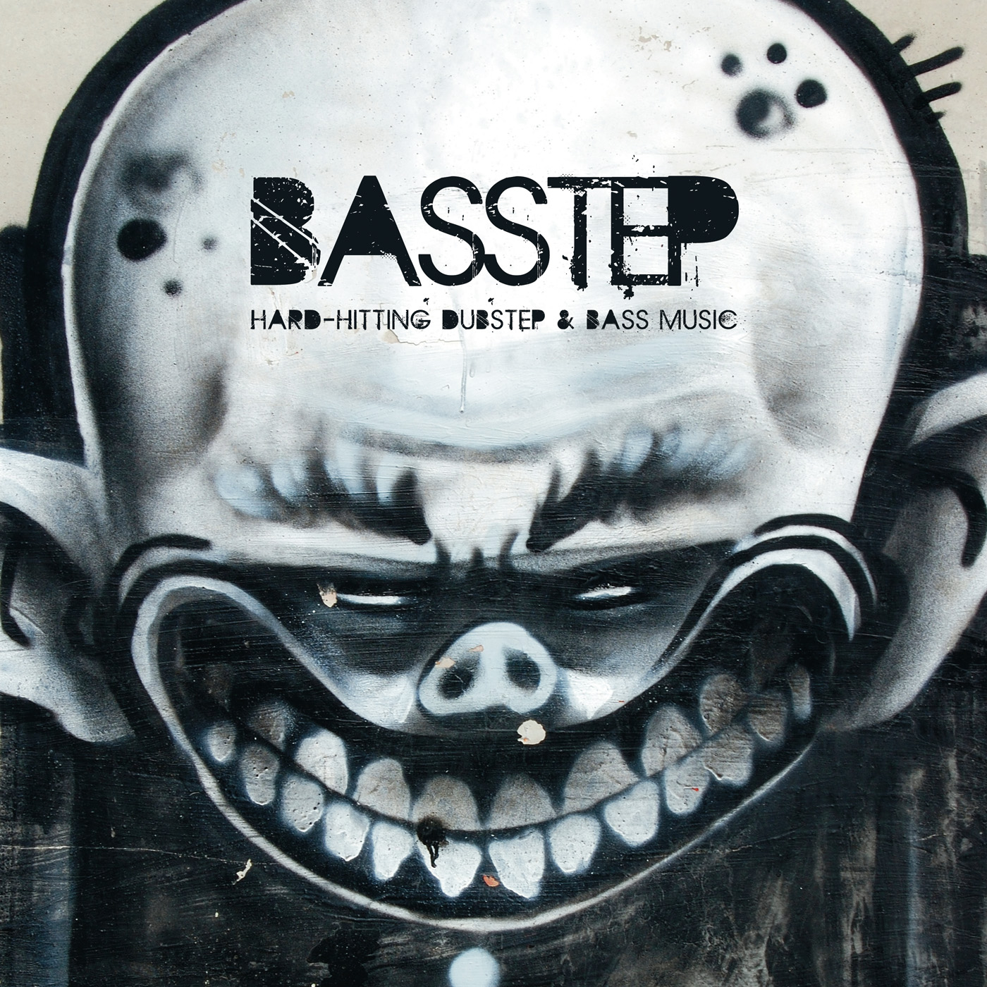 basstep 표지