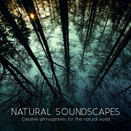 Natural Soundscapes 표지