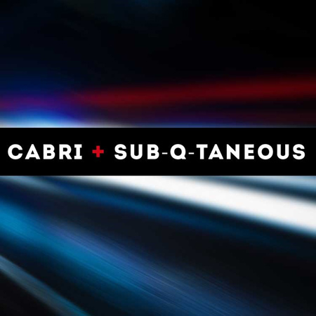 Artist Mixtape: Cabri & Sub-Q-Taneous 표지