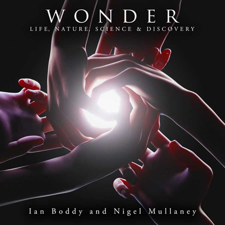Wonder 표지