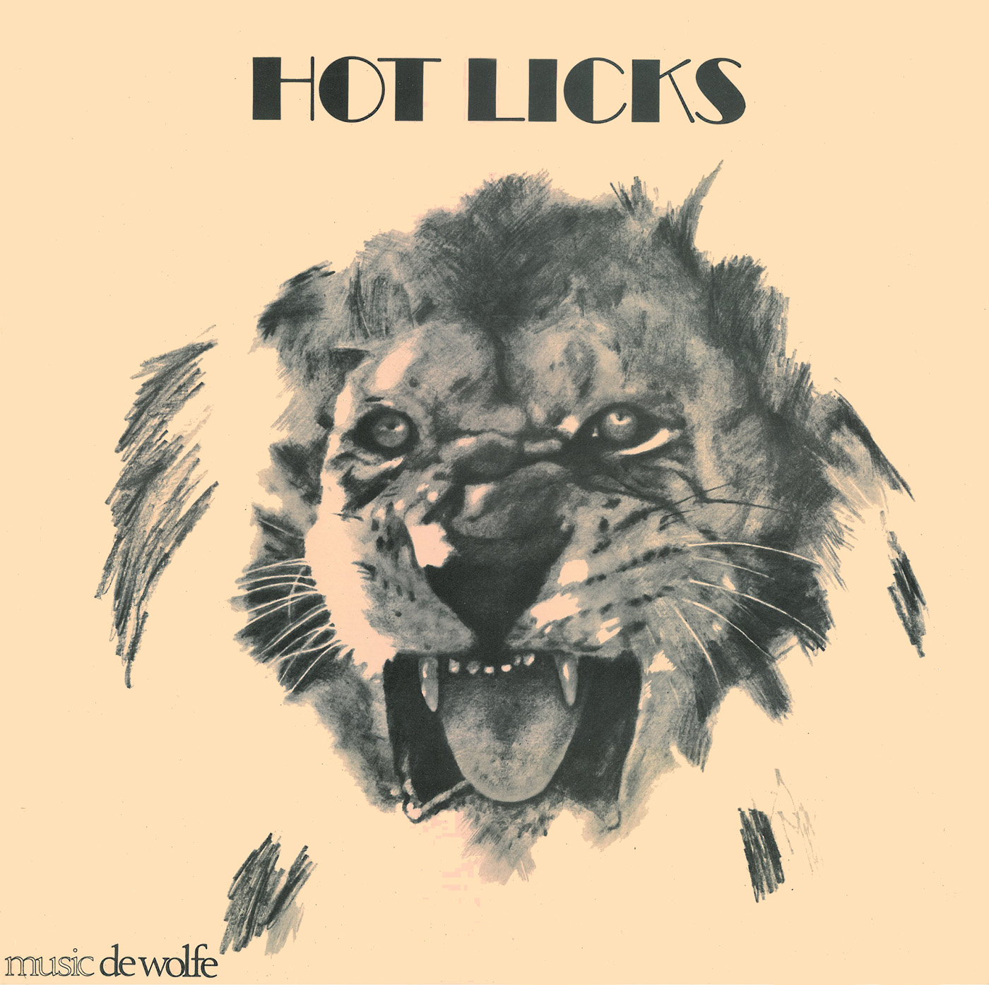 hot licks 표지