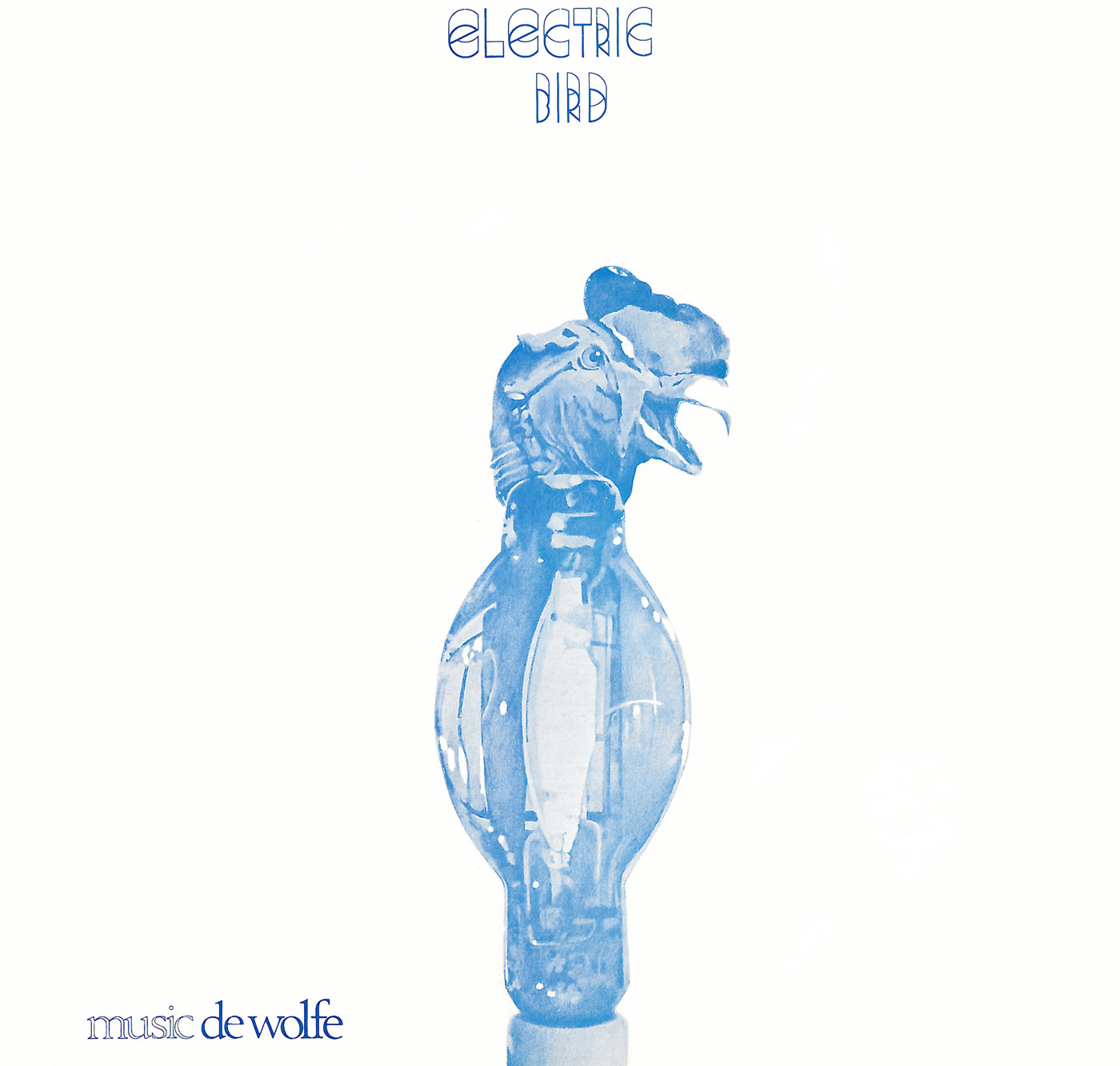 electric bird 표지