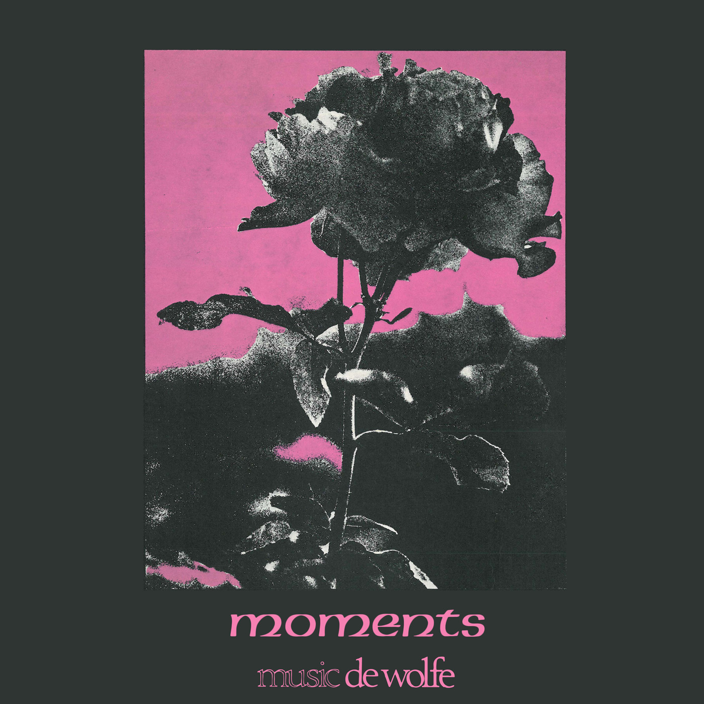 moments 표지