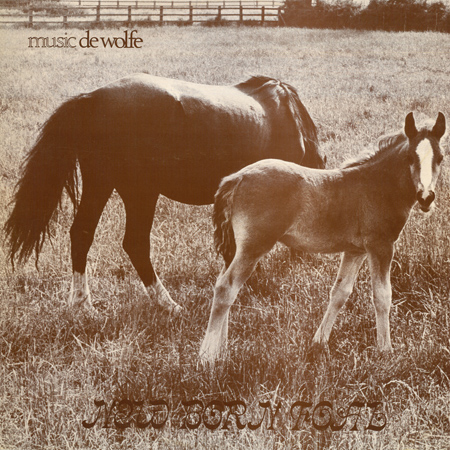 New Born Foal 표지