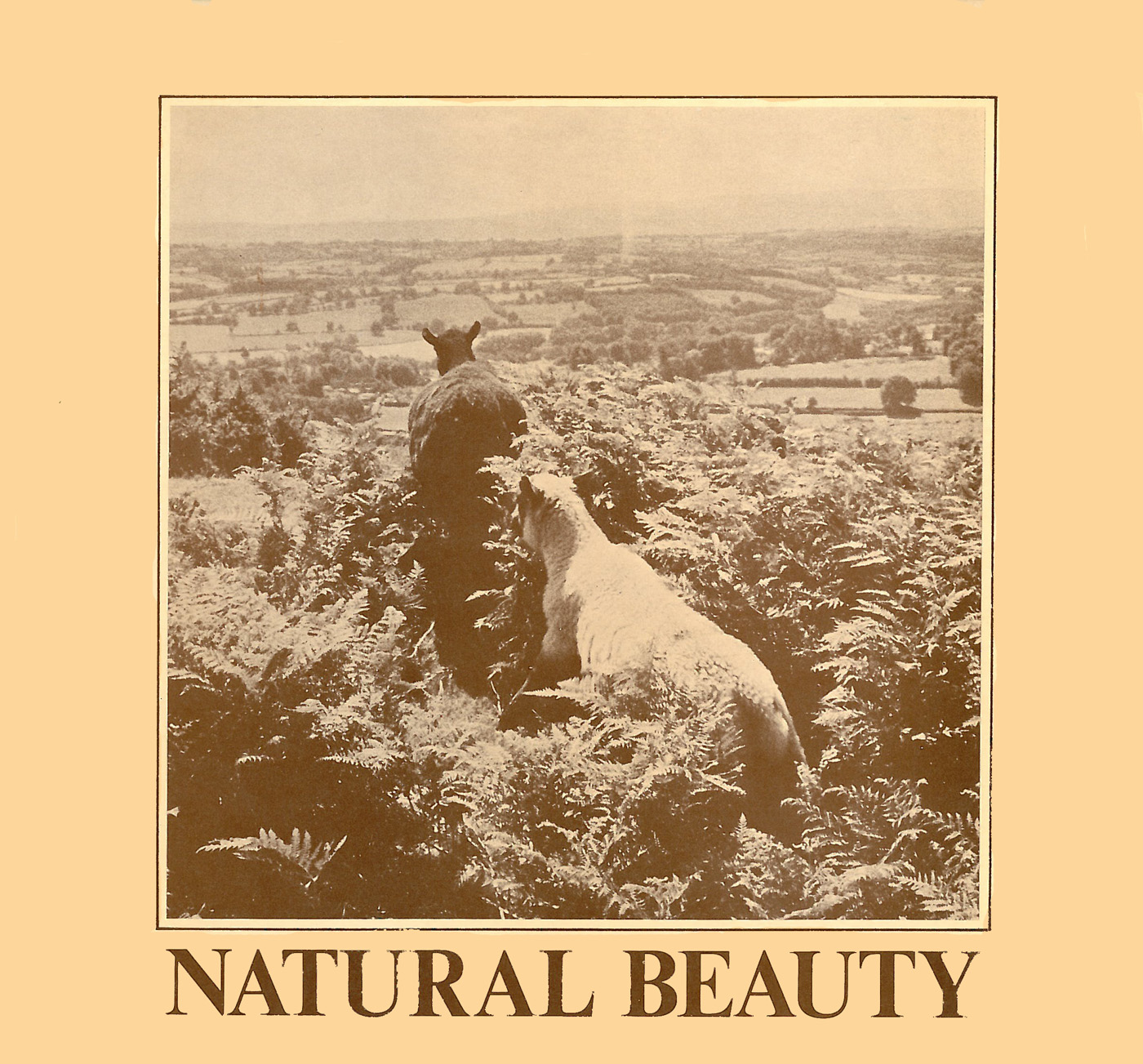 natural beauty 표지