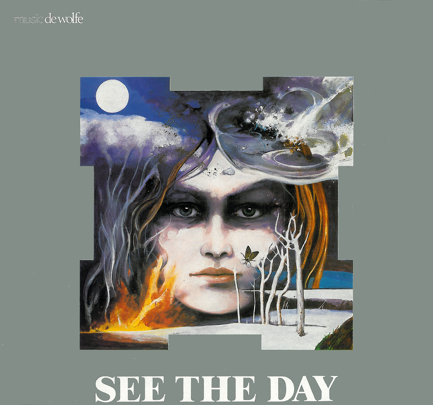 see the day 표지