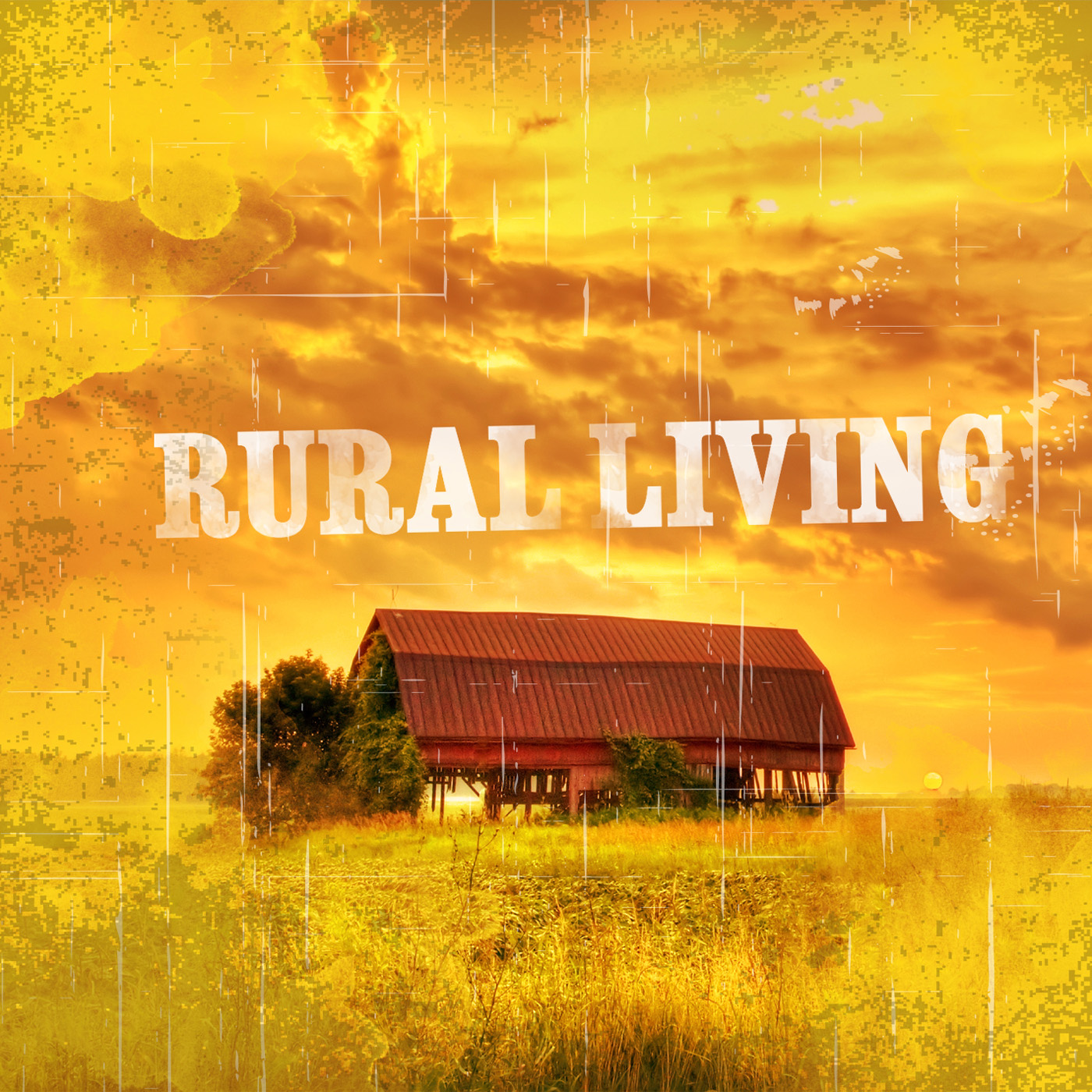rural living 표지