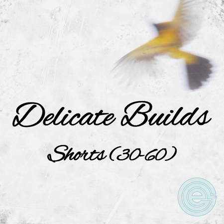 Delicate Builds - Shorts 표지