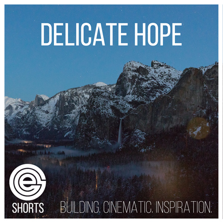 Delicate Hope - Shorts 표지
